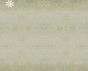 scrap_page_vintage_background11.jpg