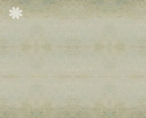 scrap_page_vintage_background12.jpg